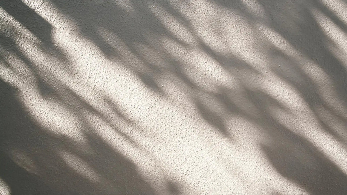 Soft dappled morning sunlight and leaf shadows on a textured wall reflecting quiet stillness by Ember Quiet.